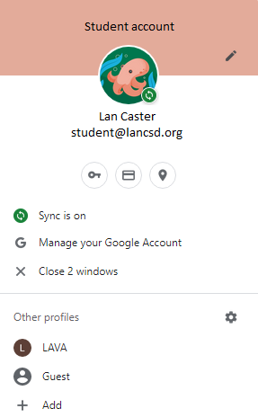 Example of google account profiles window; sync is turned on